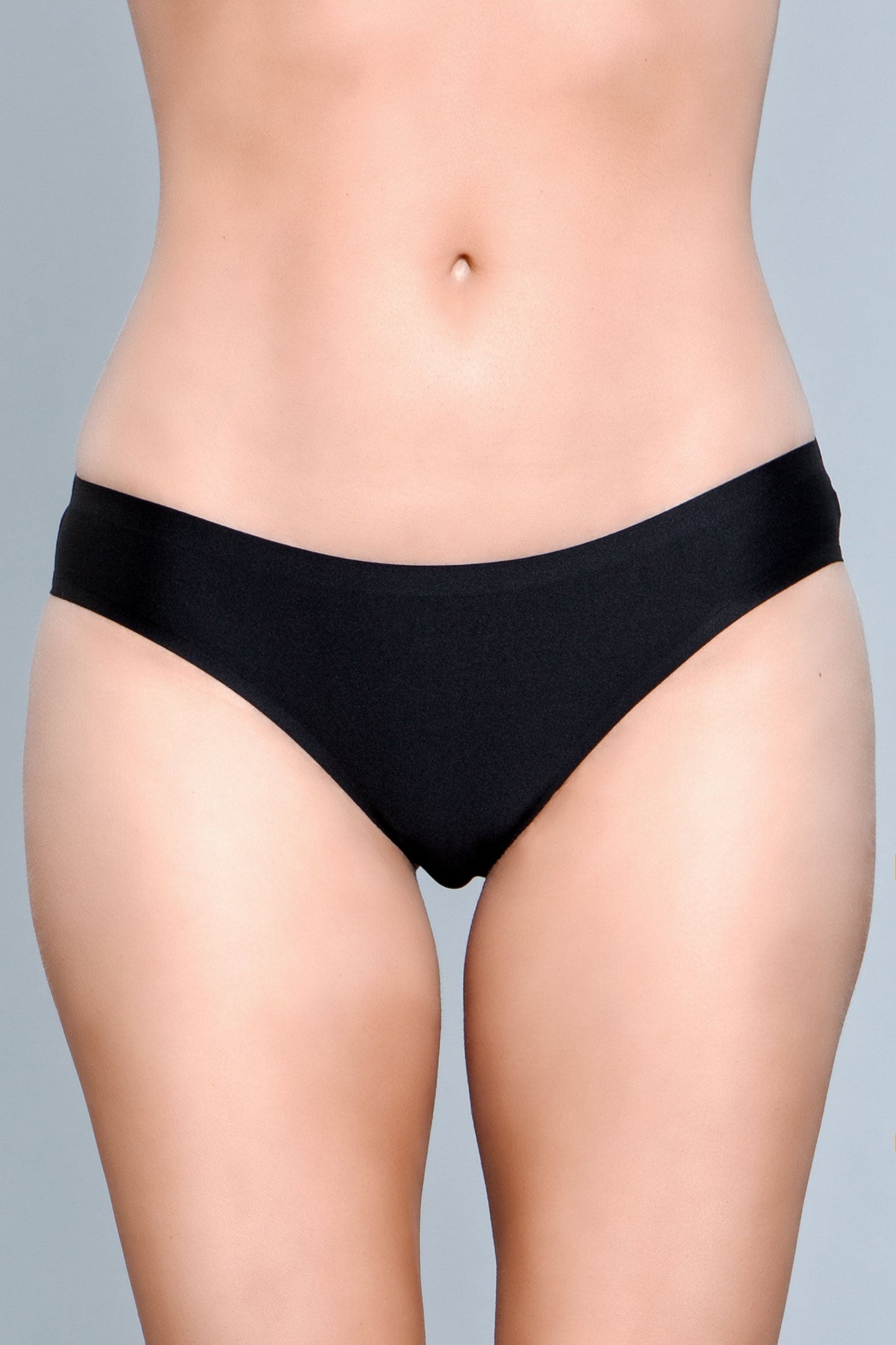 Regina Seamless Microfabric Bikini Panty for Ultimate Comfort