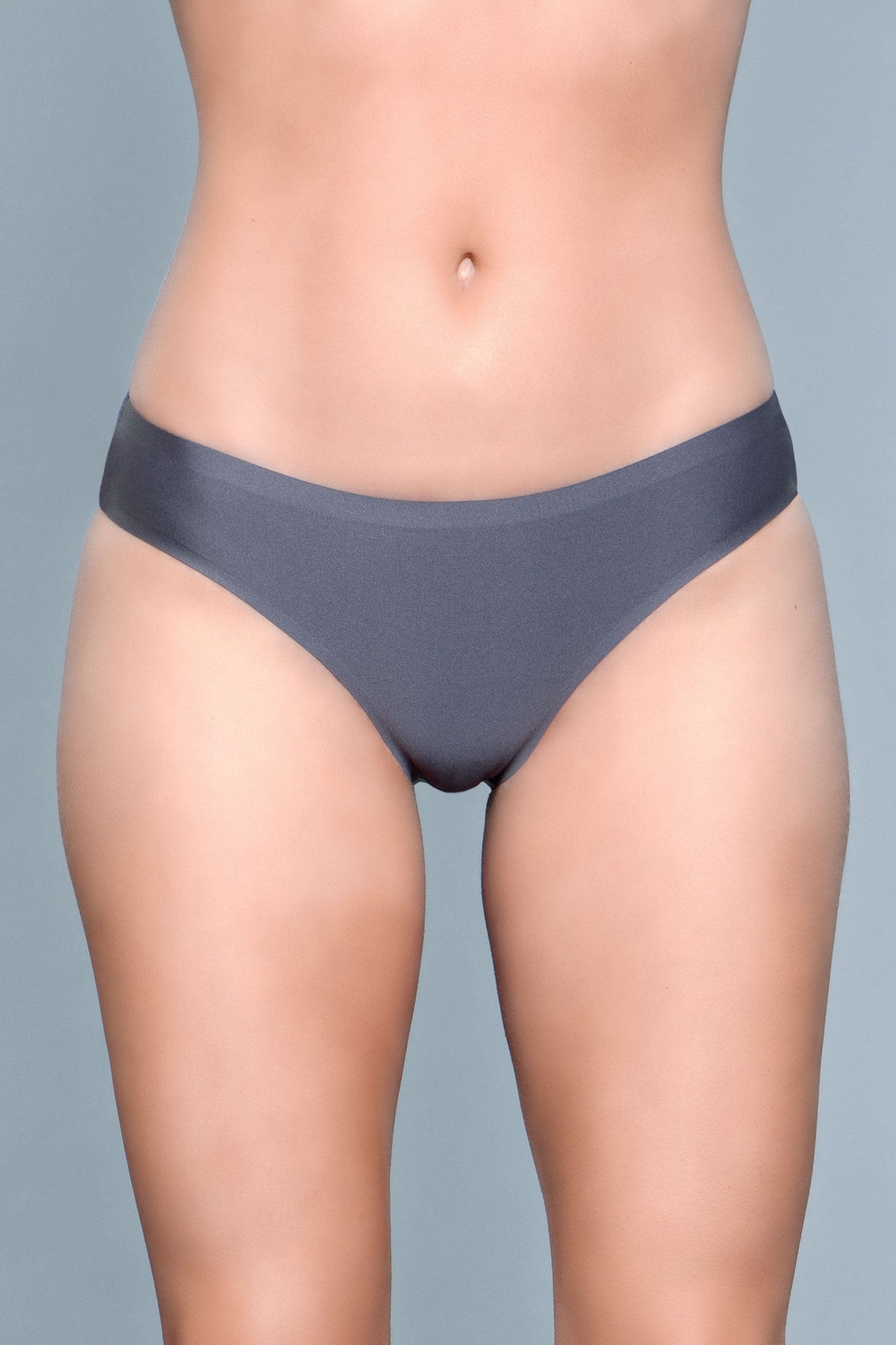 Regina Seamless Microfabric Bikini Panty for Ultimate Comfort