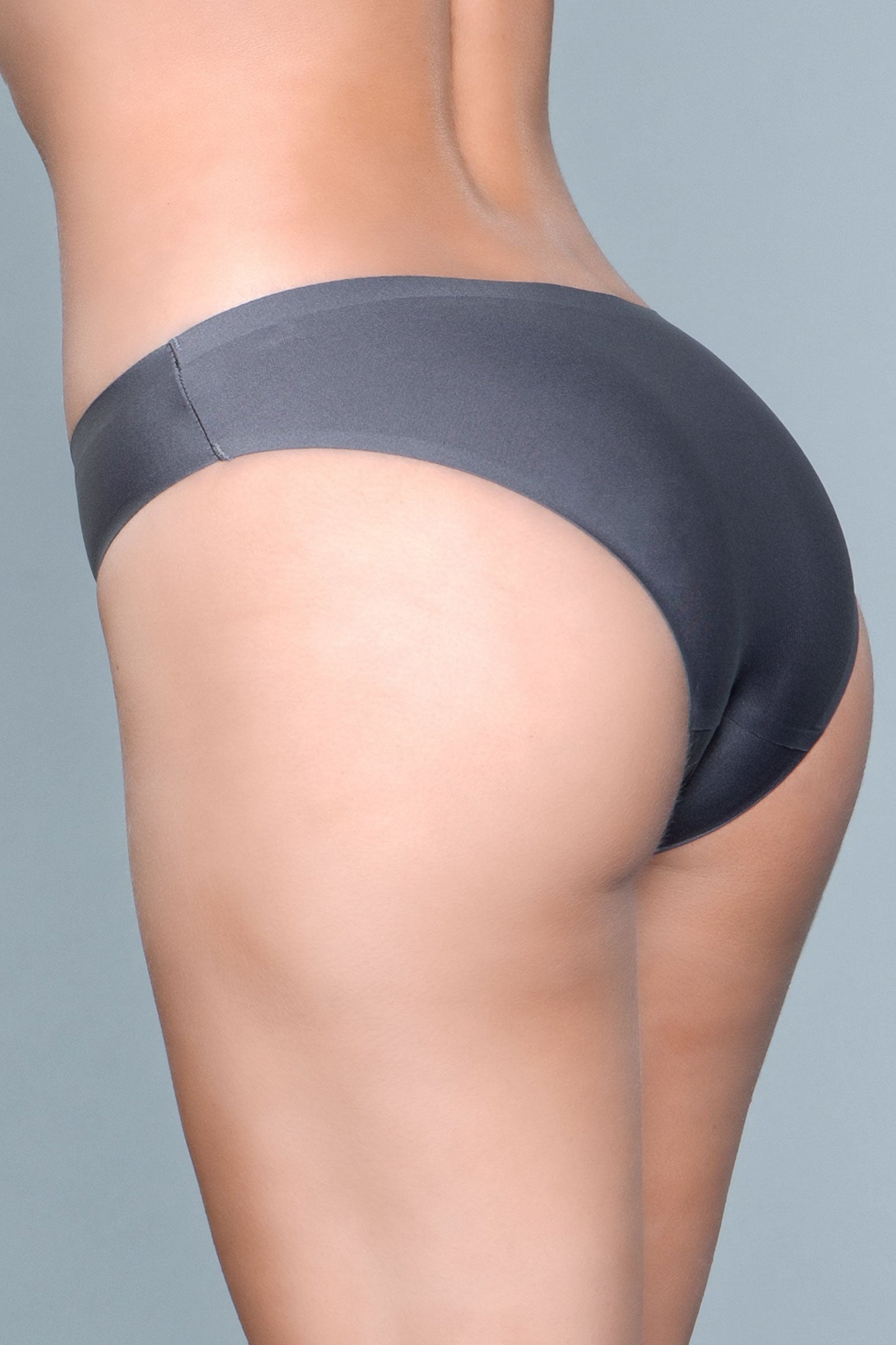 Regina Seamless Microfabric Bikini Panty for Ultimate Comfort