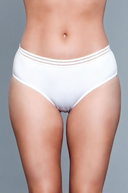 Roxy Seamless Microfiber Panty for Ultimate Comfort and Invisible Fit